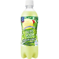 Gaseosa Calpis Melon 500ml