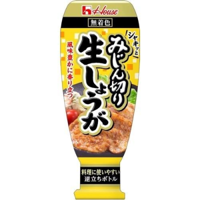 Pasta de Jengibre en Tubo 160g