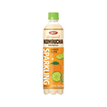 Gaseosa Kombucha Mango, Lime Zero Azucar 500ml