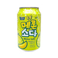 Bebida de Melon